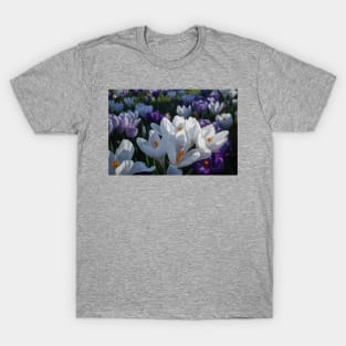The flowers that bloom in the Spring tra la! (2) T-Shirt